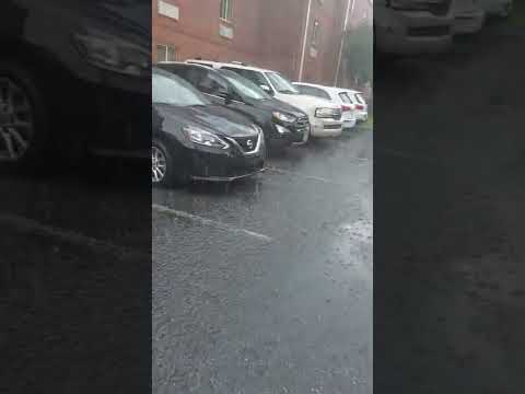 windy rain in Atlanta USA 🥰 Feel the nature😇