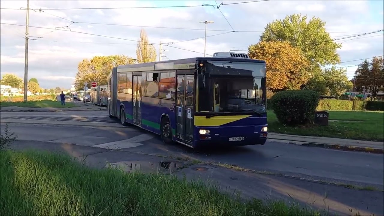 Fradi szurkoló szállítás Miskolcon