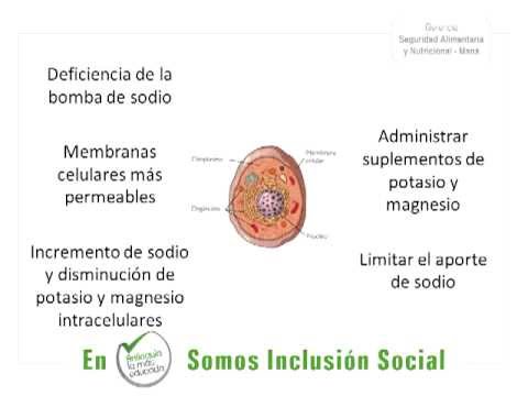 como subir de peso a un niño desnutrido