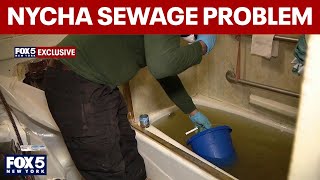 Sewage Floods Nycha Apartment In The Bronx Exclusive
