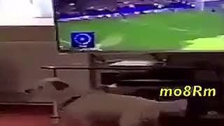 VID 20170424 WA0055