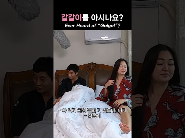 갈갈이를 아시나요? Ever Heard of "Galgal"? #shorts #갈갈이 #공감영상 #koreanhumor #relatable