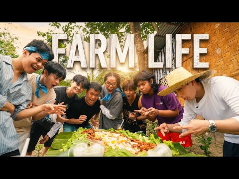 FARM LIFE 🐔🐑🐇