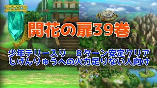 【ドラクエタクト】開花の扉39巻　少年テリー入り　８ターン安定攻略　じげんりゅうへの火力足りない人向け