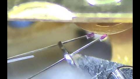 Bulova Accutron 214 index wheel at 960fps, roughly 75x magnification.