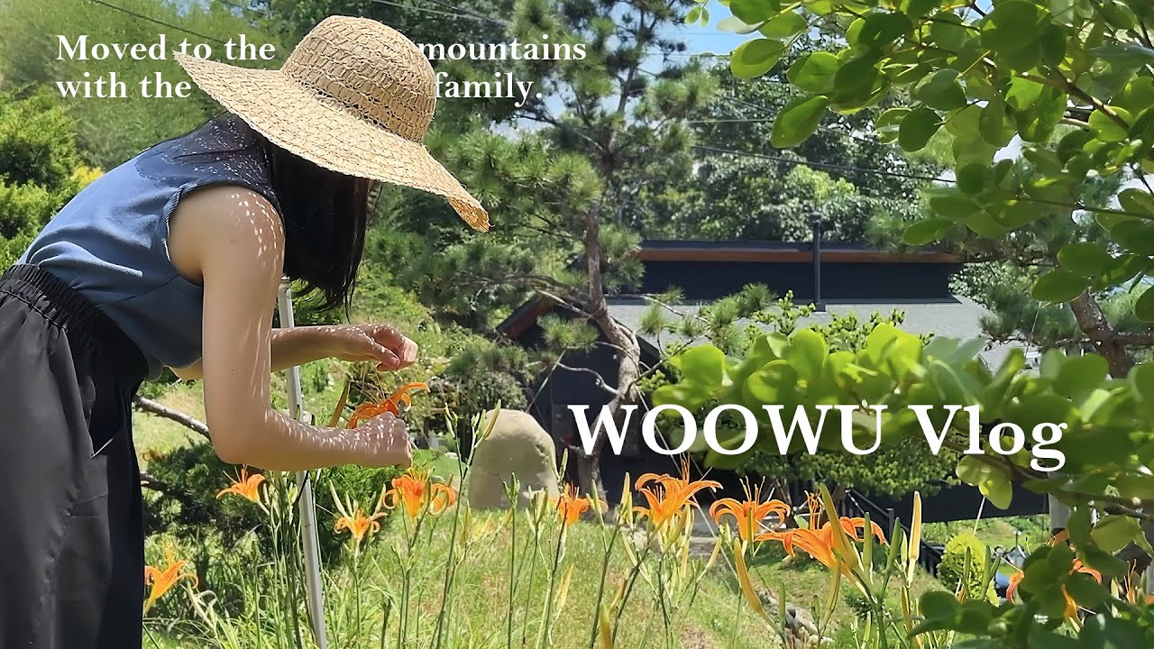 金針花季Vlog｜採購菜苗＆古早味剉冰｜參觀鄰居的吉卜力溫室｜手沖冰拿鐵