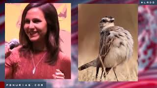 🔴 LOS MINUTOS DEL ODIO - Semana 07 de 2026