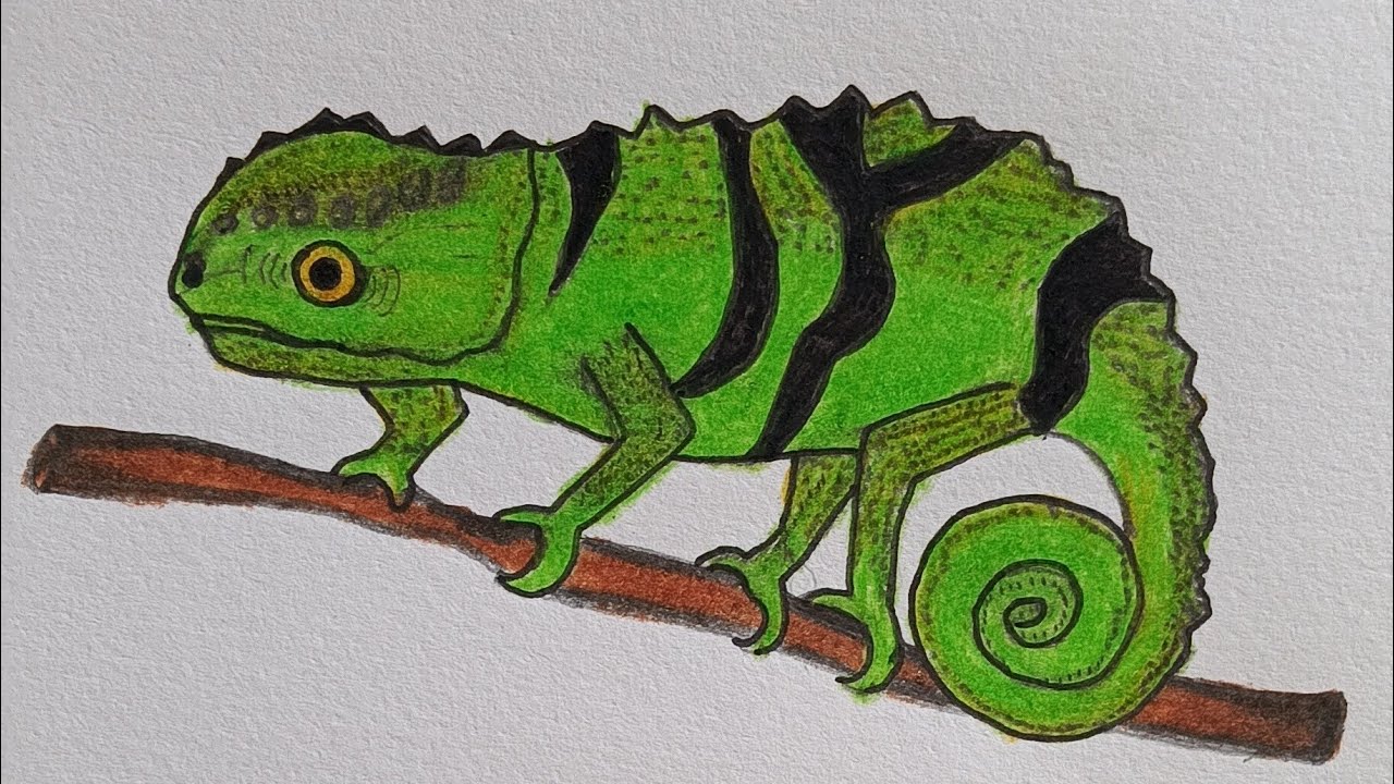 chameleon easy drawing 🦎 girgit drawing banaiye 
