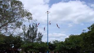 La Volorados in Tulum - Die fliegenden Männer - Yucatan, Mexiko