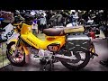 HONDA Cross Cub CT110 by KIJIMA