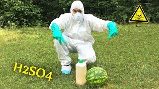 Crazy Experiment Sulfuric Acid Vs Watermelon