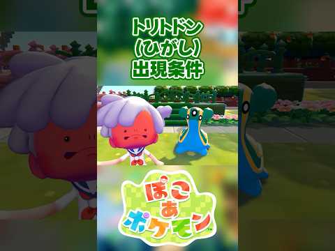 【ぽこあポケモン】トリトドン(ひがし)の出現条件を徹底解説！#shorts