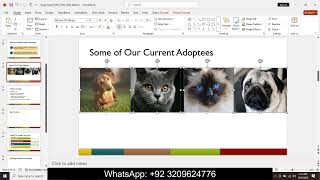 Exp22_PowerPoint_Ch03_HOE_Vet_Tech | Exp22 PowerPoint Ch03 HOE Veterinaria screenshot 3
