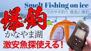 【氷上ワカサギ釣り】かなやま湖爆釣！激安魚探結構使えた！Smelt fishing on ice in Lake Kanayama