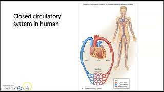 Chapter 2 Transport System