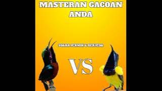 MASTERAN TERBAIK KONIN VS SOGON | SUARA JERNIH & BERJEDA