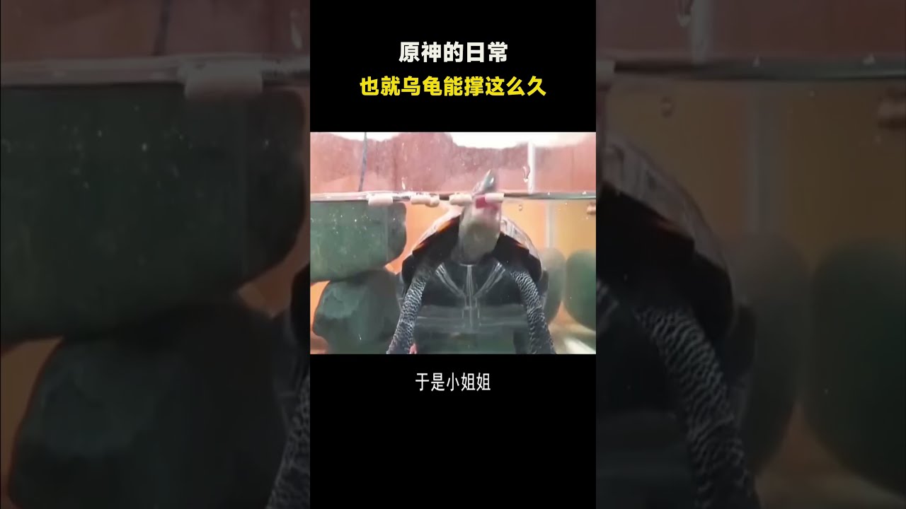 盘点大张伟的接梗名场面：把主持人玩的一愣愣的！下面观众笑坏了