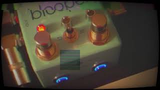 Chase Bliss Blooper & Red Panda Tensor in parallel into a Hologram Microcosm