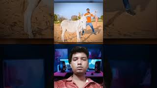 How Does A Donkey Eat Carrots?