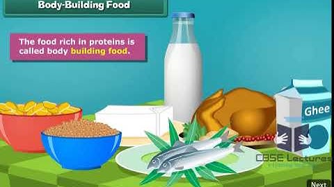 Food and Health Class 5 Science by CBSE Lectures