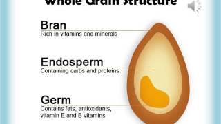 Grains