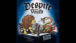 SPLIT GIMP FIST Y ANGER FLARES  (DESPITE YOUR YOUTH)   SPLIT  FULL