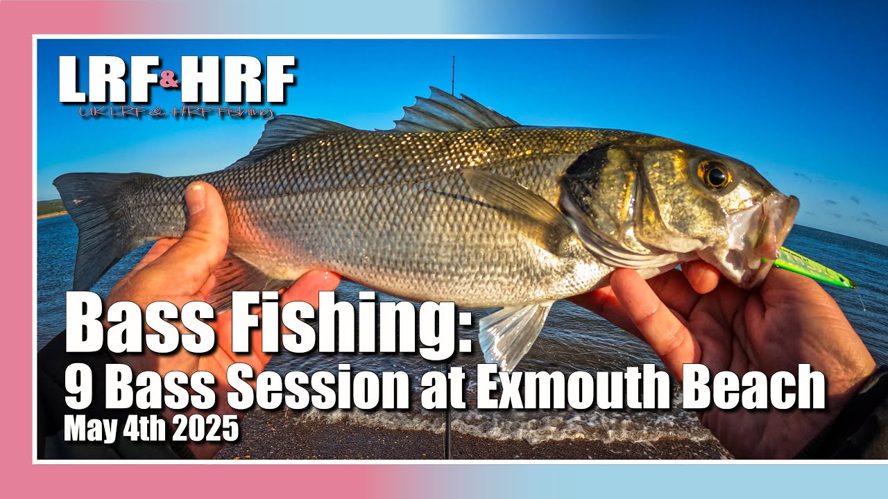 Bass Fishing: 9 Bass on Savage Gear Seeker Lures – Exmouth Beach