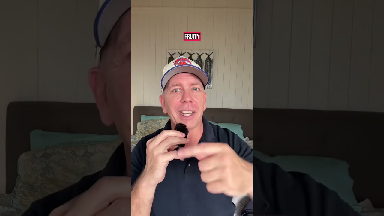 Art of Universe 30 second review and why at first sniff it’s not my thing but might be yours!