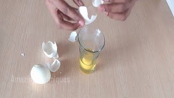Raw vs Boiled Egg ǀ How to Identify Raw and Boiled Eggs ǀ Amazing Techniques.