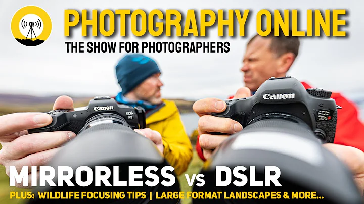 Mirrorless vs DSLR, 70-200mm test, Focusing on moving subjects, Large format photography and more. - DayDayNews