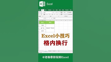 Excel tutorial Excel教程：单元格内换行，你学会了吗？Excel教學excel函數excel技巧Excel演示教学. #Shorts