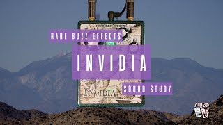 Sound Study // Rare Buzz - Invidia