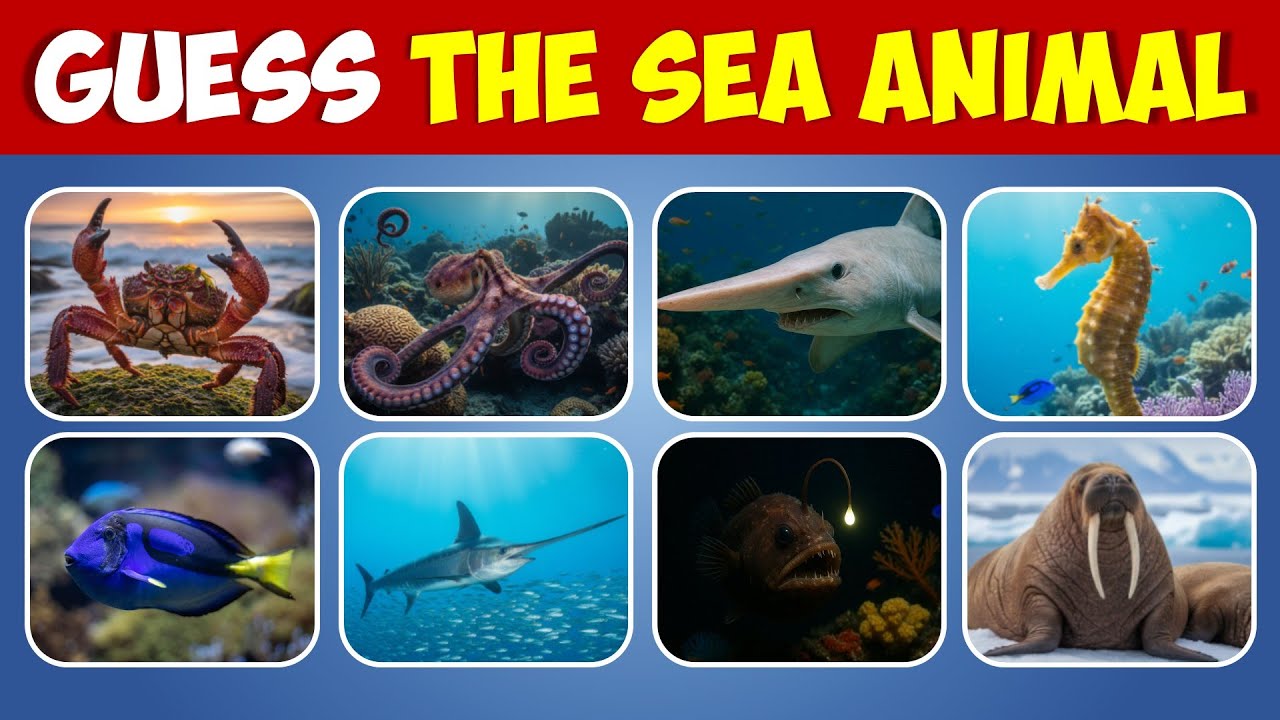 What’s Hiding in the Deep Sea? | Guess the Sea Animal Quiz - YouTube
