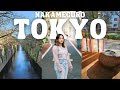 Exploring tokyos trendiest neighborhoods nakameguro daikanyama ebisu  japan shopping vlog 2023