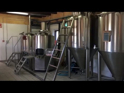 Vídeo: Com Es Fa La Cervesa En Pols