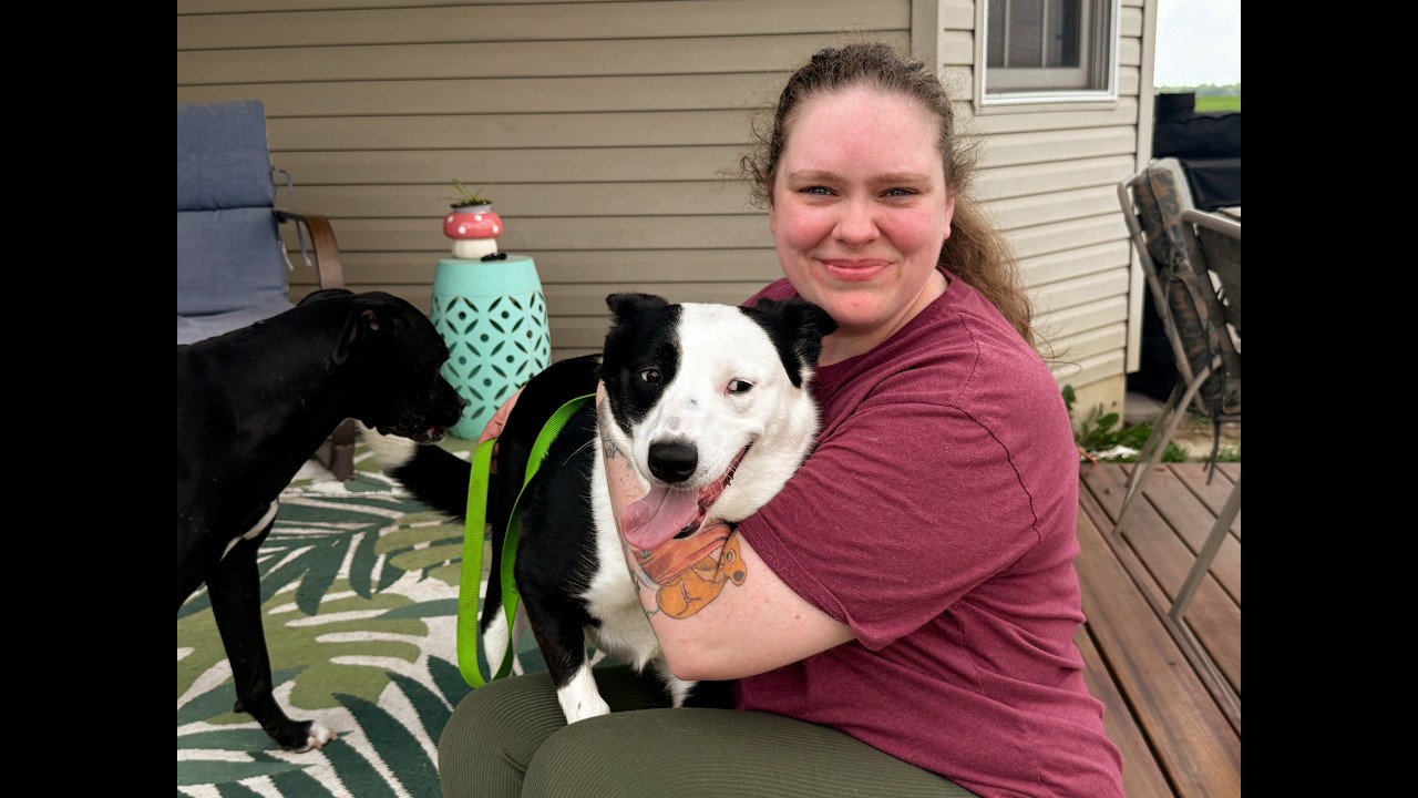 Dog named Cookie needs a home!