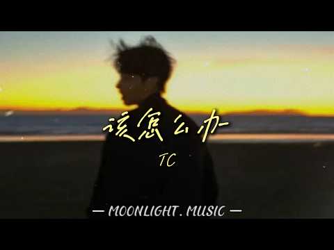 该怎么办 - TC |『你对我很重要，知不知道』#流行歌曲#douyin
