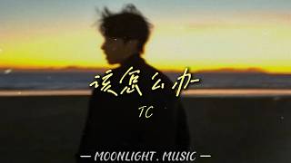 该怎么办 - TC |『你对我很重要，知不知道』#流行歌曲#douyin