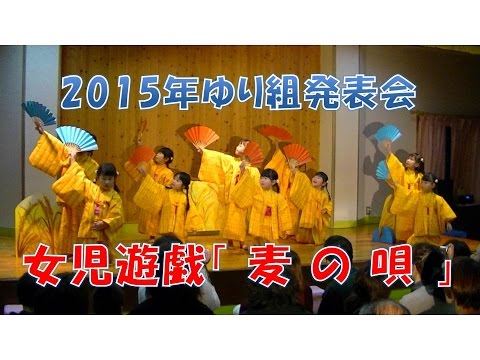 八幡保育園（福井市）発表会 ゆり組（4歳児年中）発表会 女児遊戯「麦の唄」マッサンの感動がよみがえる！2015年12月