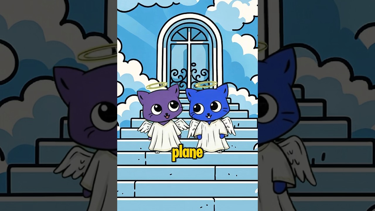 My uncle has a giant church ⛪️ 