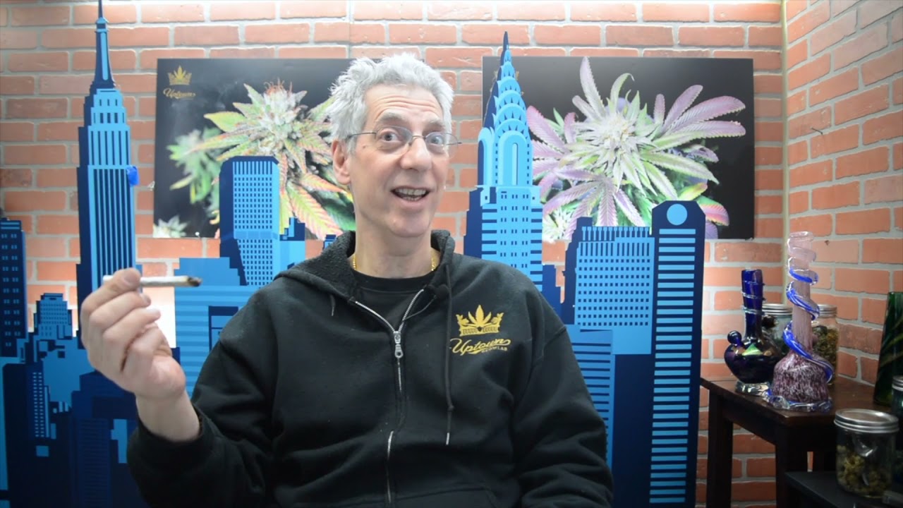 Nigerian Haze Cannabis Strain Review