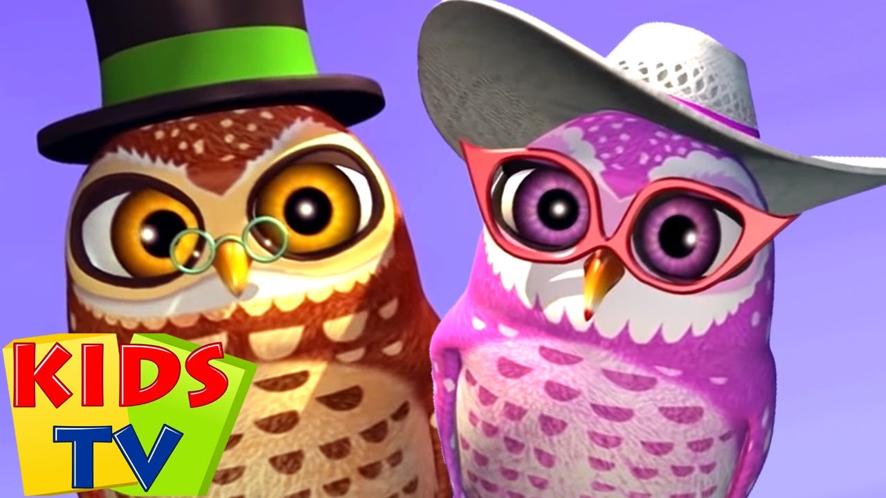 El Reino | Miranda e Mirón | Canção infantil | Kids Tv em Português | Pré escola | Desenhos animado