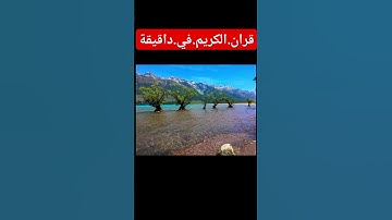 سورة.التوبة.سعود الشريم #المصحف #quran #flowers #duet #اكسبلور #لايك #ترند #تيك_توك احترم.القران.د.