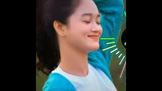 Dj tepung kanji - Safira inema - Tarik sis semongko ( musik official )