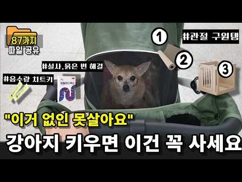 11년간 쓰면 쓸수록 '이건 잘 샀다' 만족한 강아지 용품 BEST 87 실사용 후기 l강아지키우기l 강아지 육아 꿀템 총정리