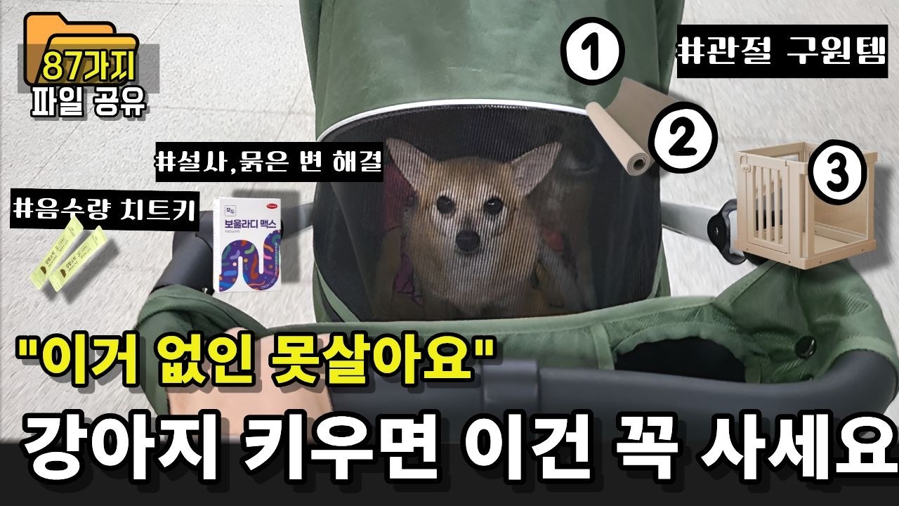 11년간 쓰면 쓸수록 '이건 잘 샀다' 만족한 강아지 용품 BEST 87 실사용 후기 l강아지키우기l 강아지 육아 꿀템 총정리