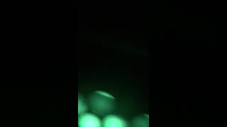 Madison Loud Featuring Liljohnjohn