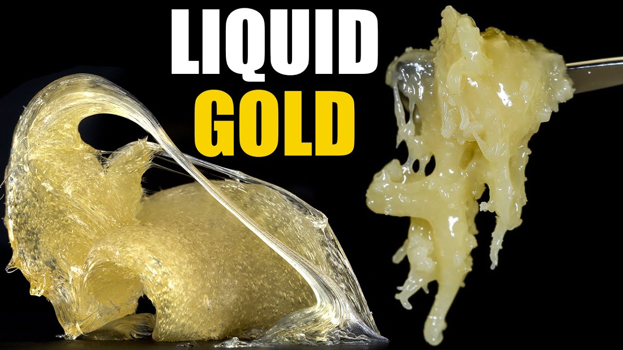 ROSIN IS LIQUID GOLD! Two Strains Lemon Drizzle and Mike Larry Make Fire Cannabis Concentrates