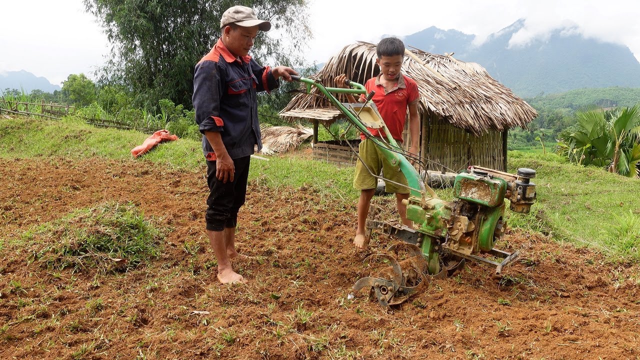 Orphan boy - Use the money you save to hire farmers to plow the land and grow vegetables. (ep.35)
