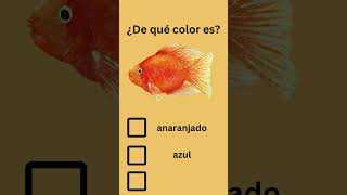 Spanish Colors Quiz